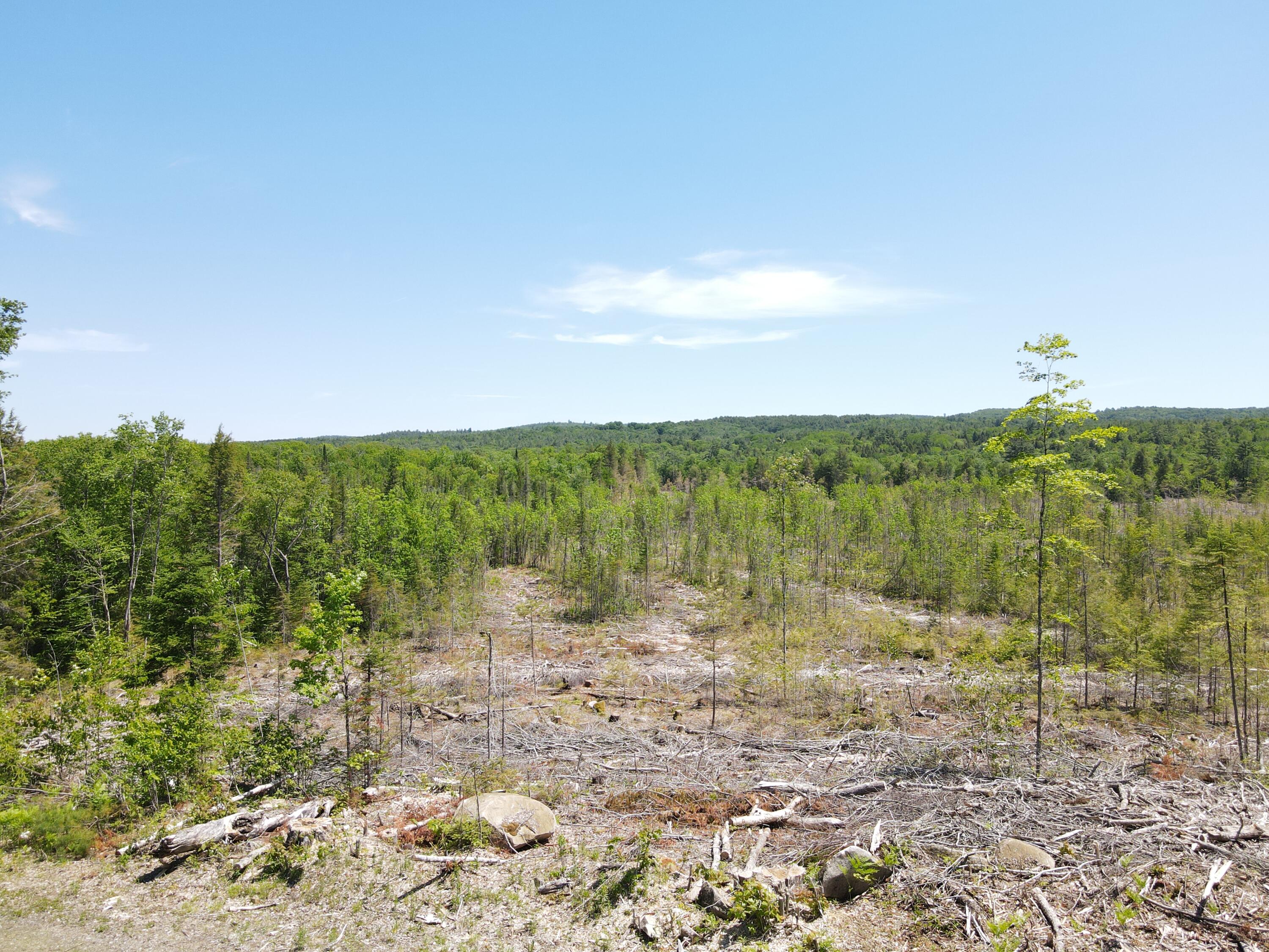 M10-l25 M10-l25 Cahoon Road Chesterville, ME 04938 - Photo 20 of 80 DJI_0738