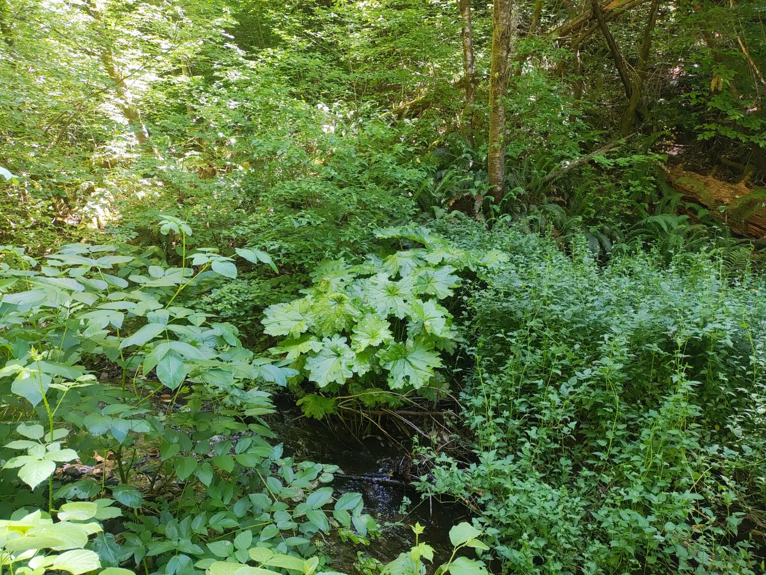 18290 Backwoods Road Nevada City, CA 95959 - Photo 20 of 24