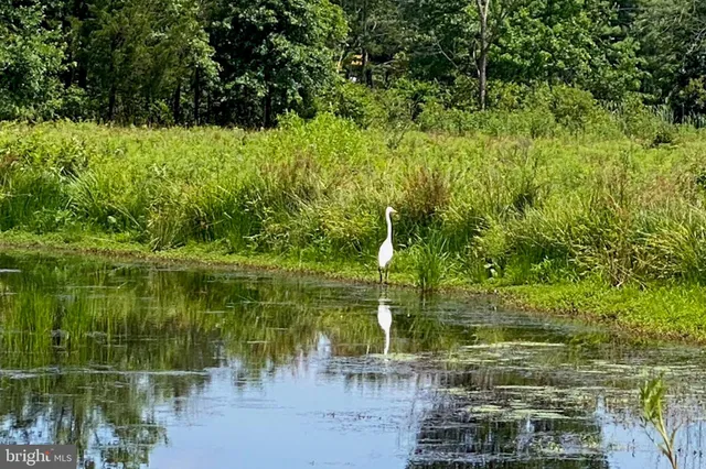 $1,295,000 | 48 Fairview Road, Skillman, NJ 08558