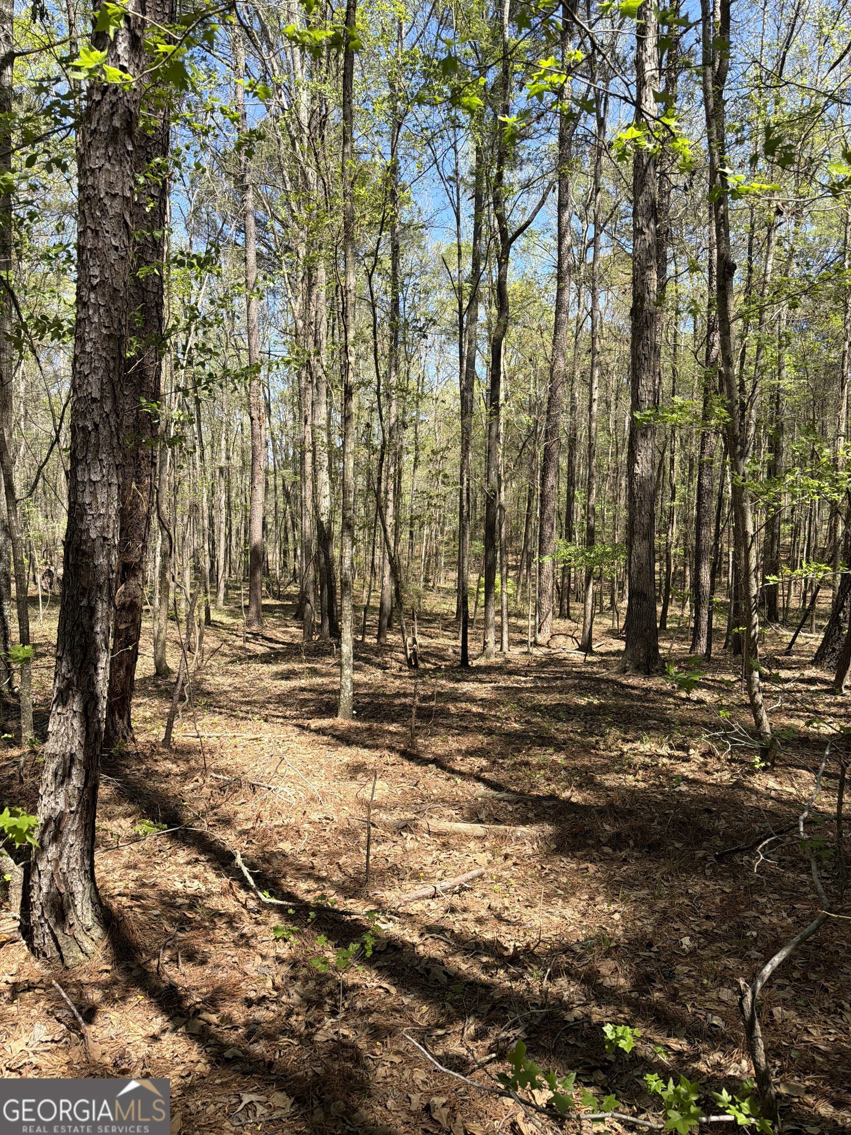 0 Old Union Point Road Greensboro, GA 30642 - Photo 5 of 5