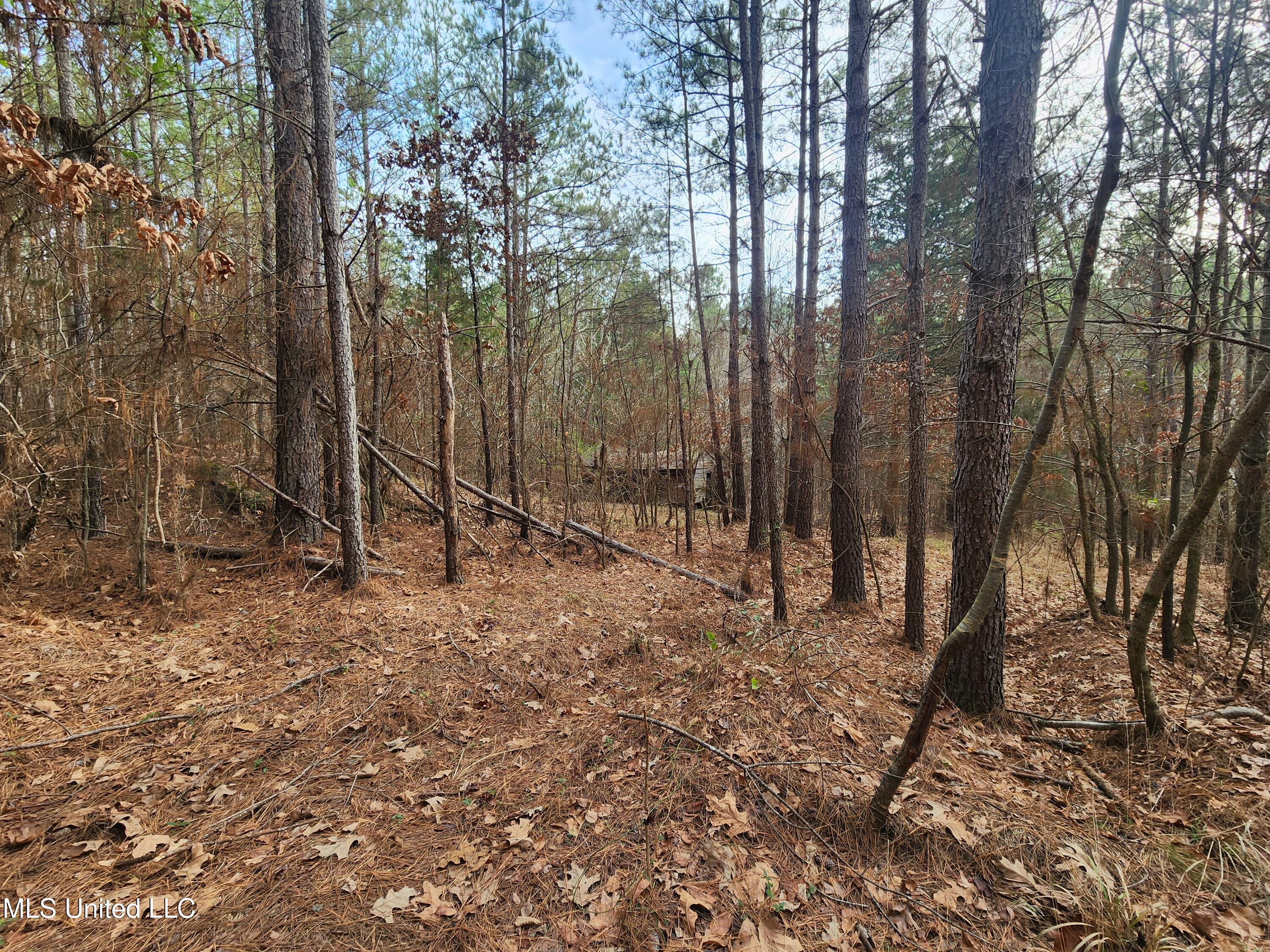 0 Pearl Smith Road Senatobia, MS 38668 - Photo 11 of 90 20260107_131508