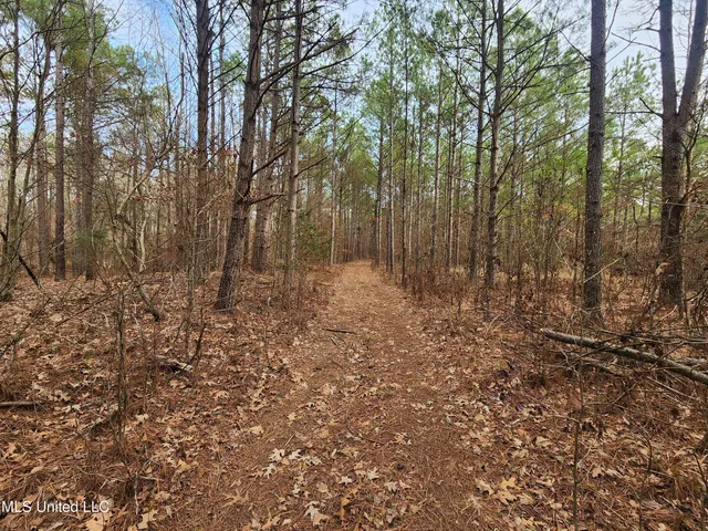 $230,000 | 0 Pearl Smith Road, Senatobia, MS 38668