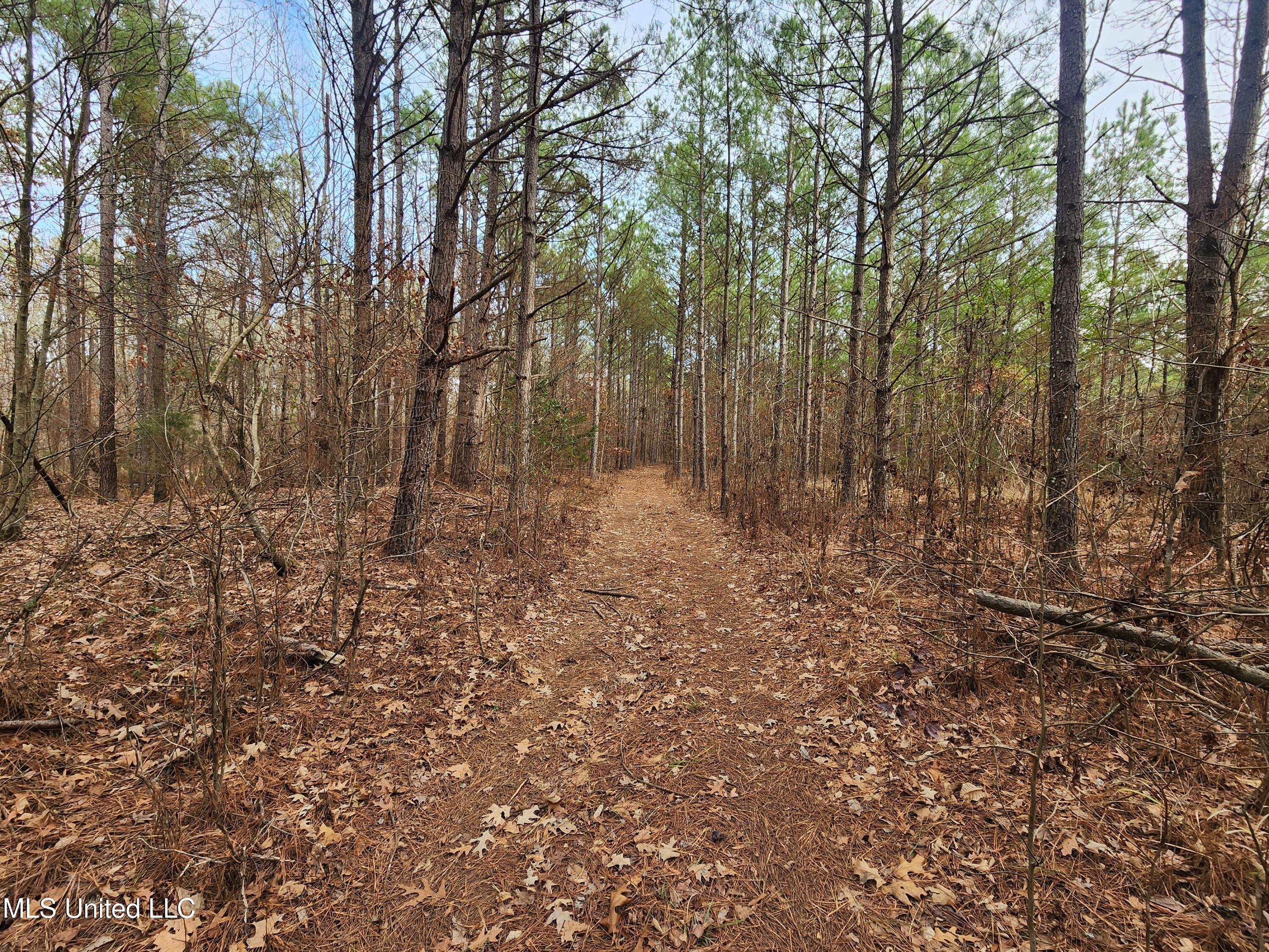 0 Pearl Smith Road Senatobia, MS 38668 - Photo 15 of 90 20260107_132359