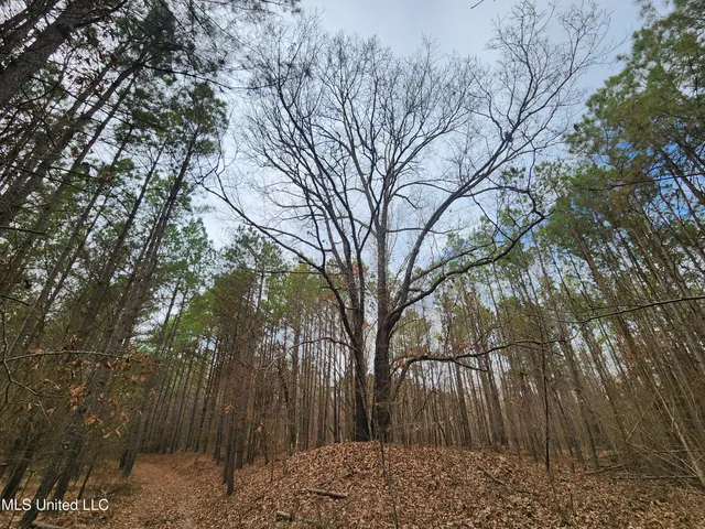 $230,000 | 0 Pearl Smith Road, Senatobia, MS 38668
