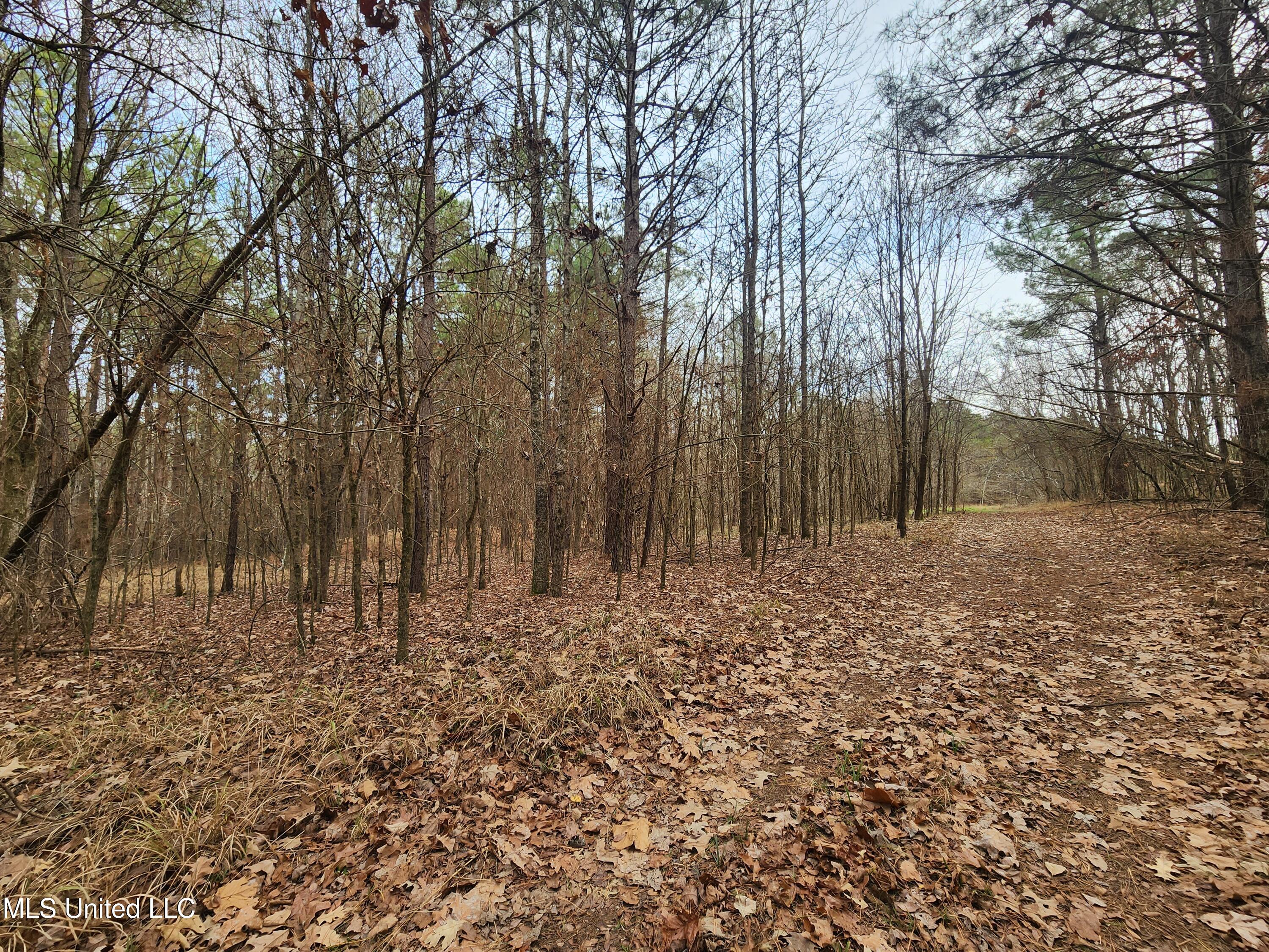 0 Pearl Smith Road Senatobia, MS 38668 - Photo 18 of 90 20260107_133202