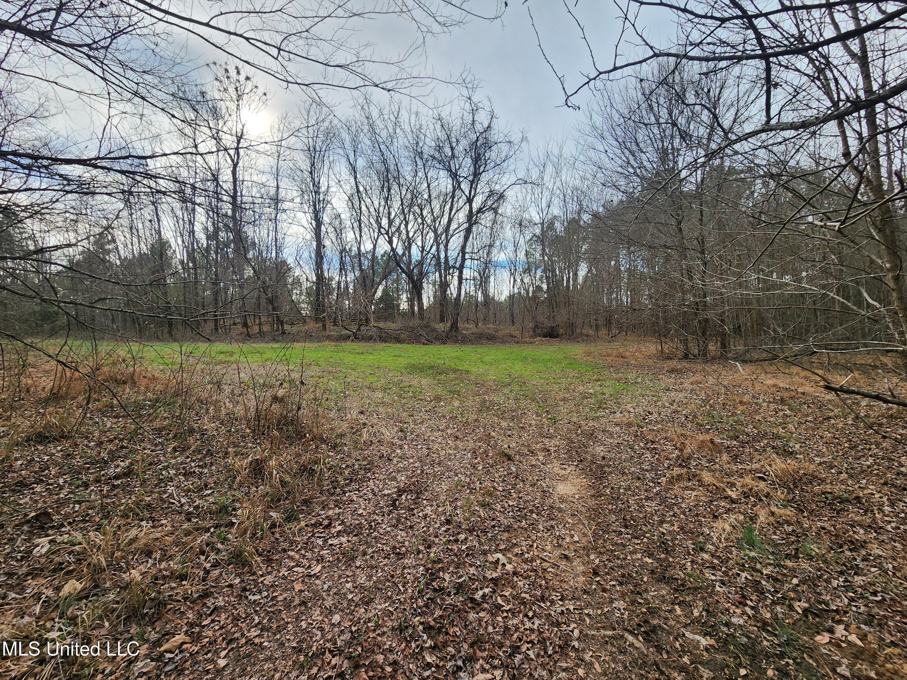 0 Pearl Smith Road Senatobia, MS 38668 - Photo 19 of 90 20260107_133651