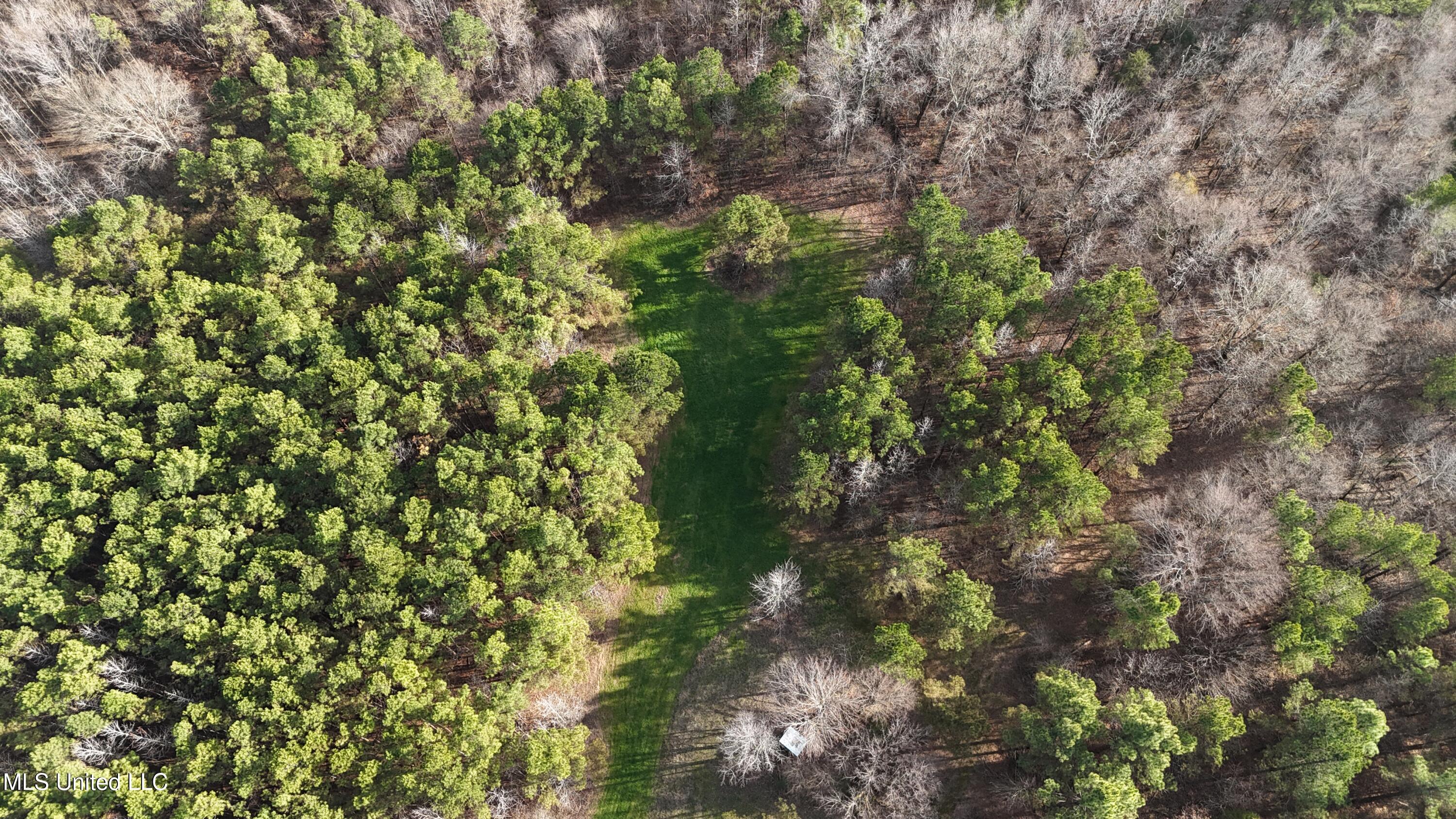 0 Pearl Smith Road Senatobia, MS 38668 - Photo 20 of 90 DJI_20260107152018_0772_D