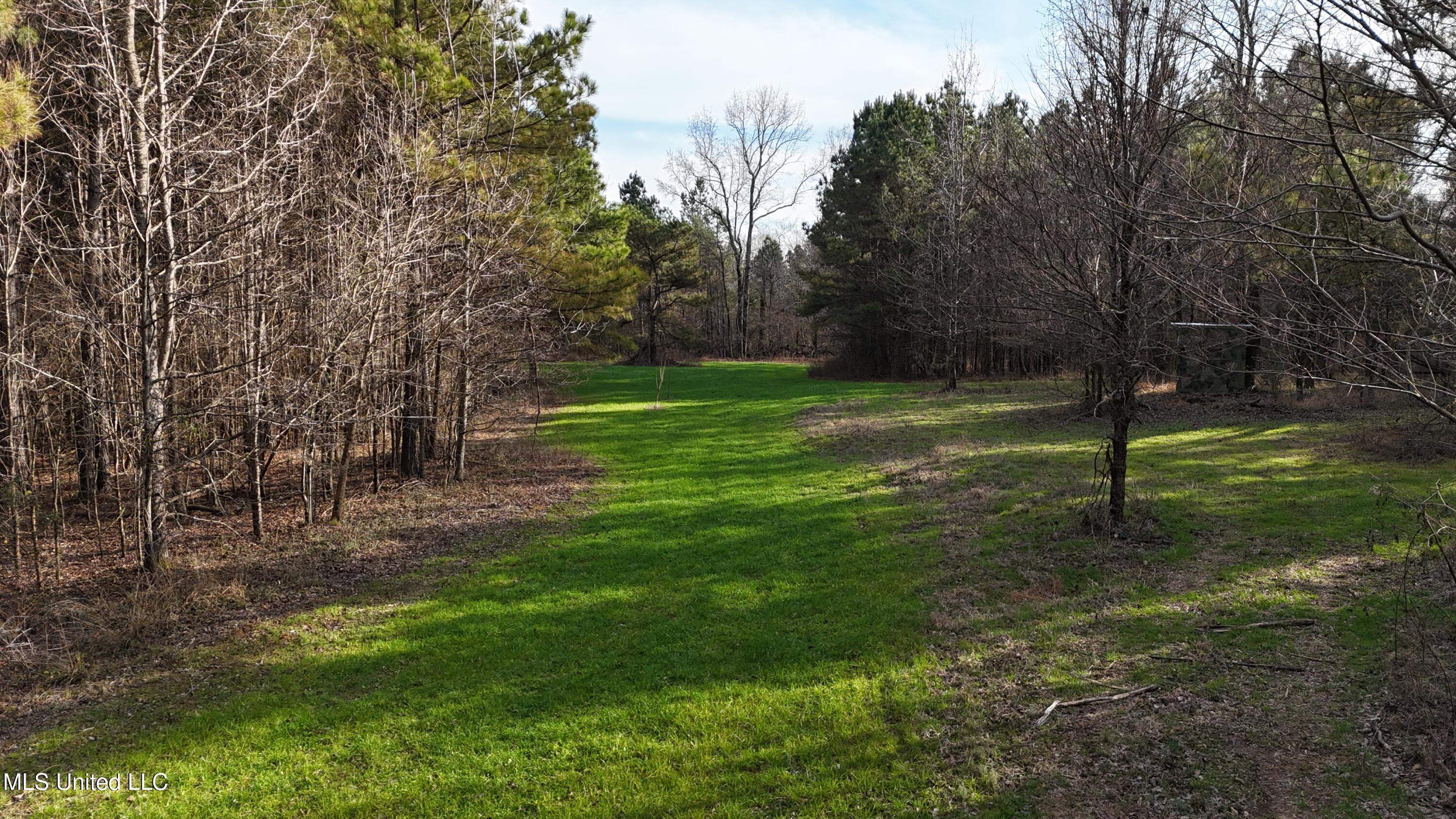 0 Pearl Smith Road Senatobia, MS 38668 - Photo 21 of 90 DJI_20260107153210_0776_D