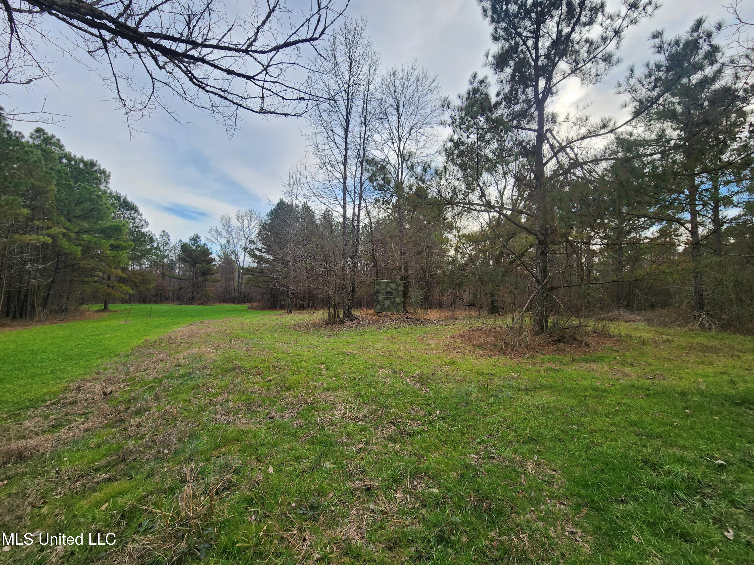 0 Pearl Smith Road Senatobia, MS 38668 - Photo 22 of 90 20260107_133855