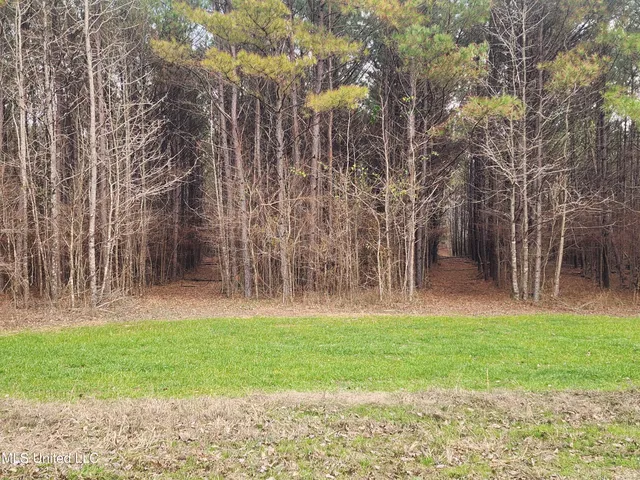 $230,000 | 0 Pearl Smith Road, Senatobia, MS 38668