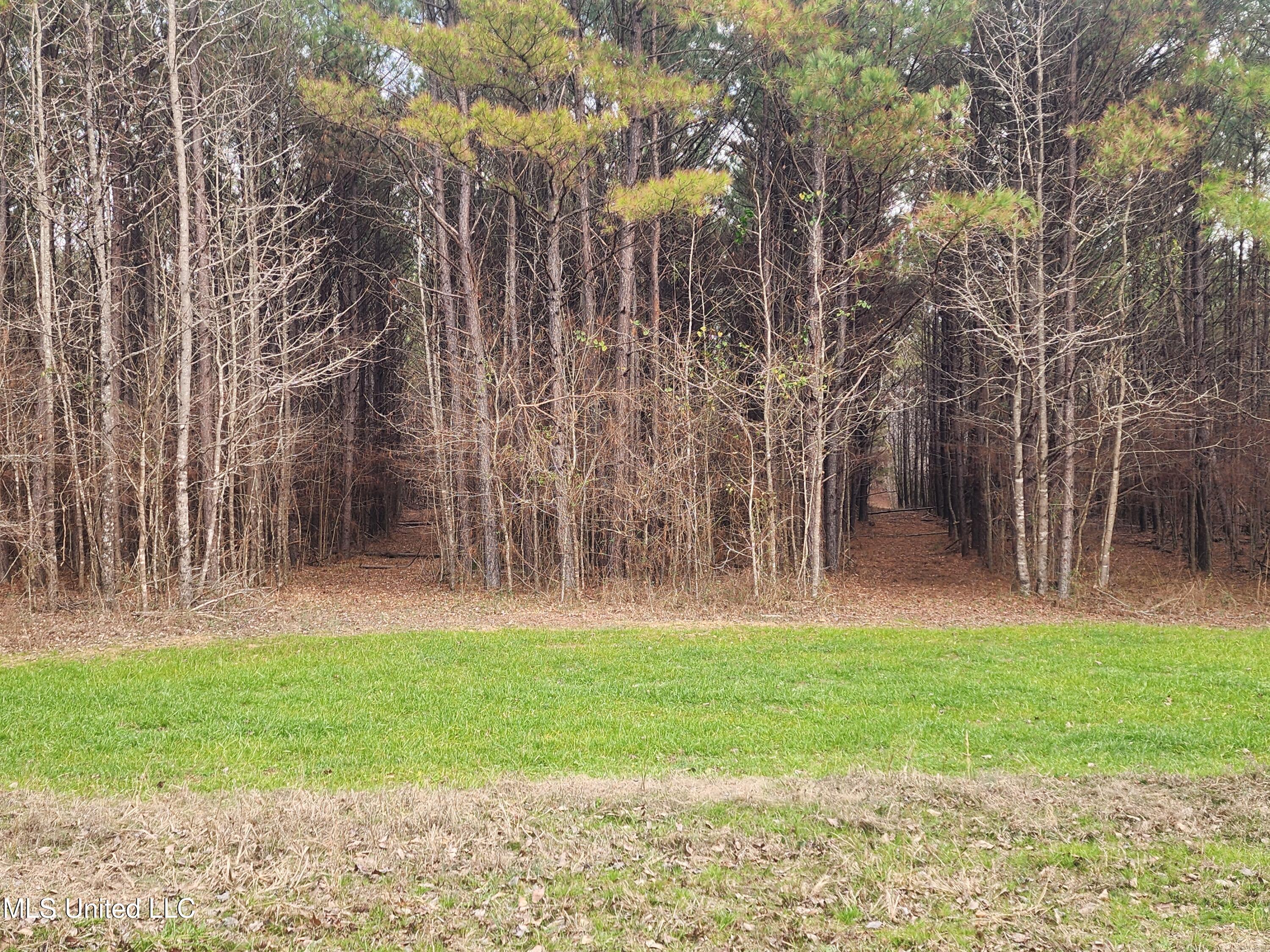 0 Pearl Smith Road Senatobia, MS 38668 - Photo 24 of 90 20260107_133959