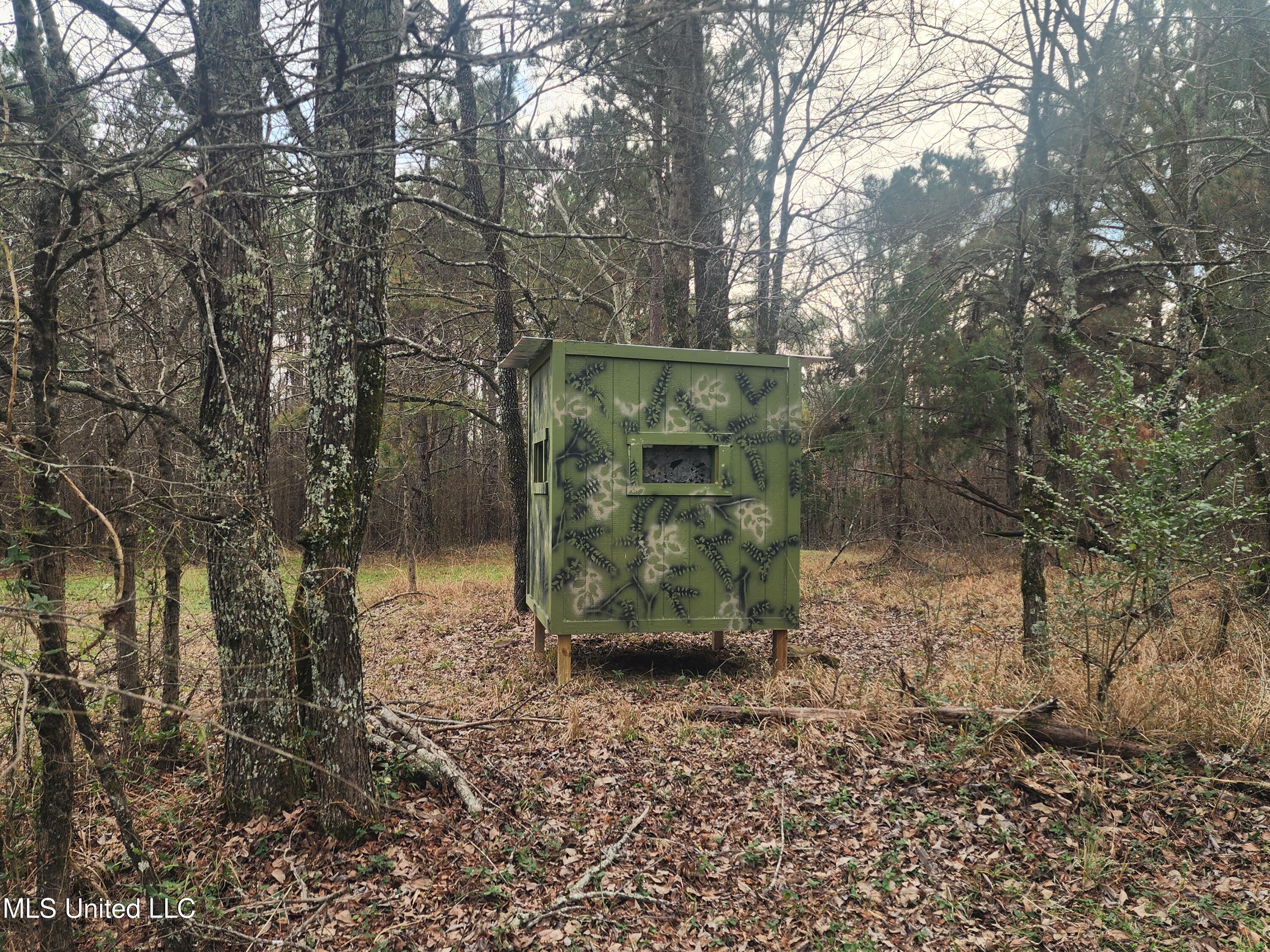 0 Pearl Smith Road Senatobia, MS 38668 - Photo 25 of 90 20260107_133921