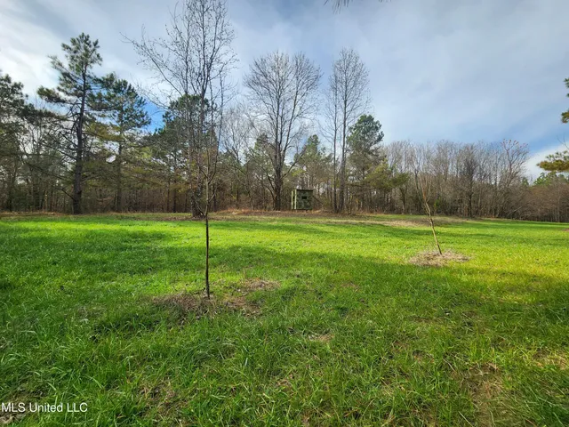 $230,000 | 0 Pearl Smith Road, Senatobia, MS 38668