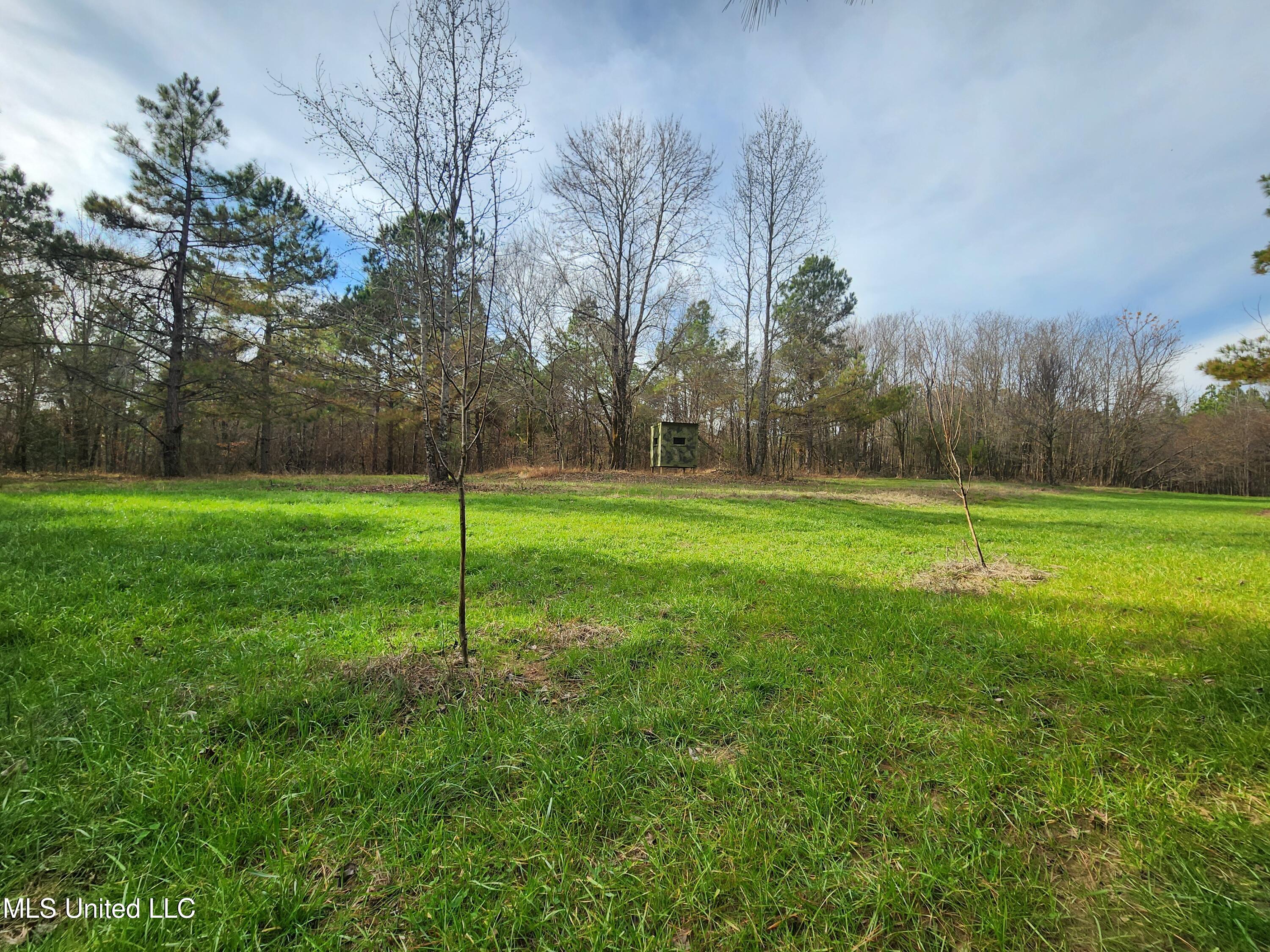 0 Pearl Smith Road Senatobia, MS 38668 - Photo 30 of 90 20260107_134808