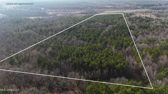 $230,000 | 0 Pearl Smith Road, Senatobia, MS 38668