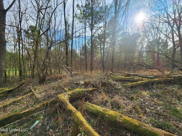 $230,000 | 0 Pearl Smith Road, Senatobia, MS 38668