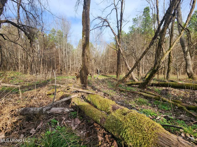 $230,000 | 0 Pearl Smith Road, Senatobia, MS 38668