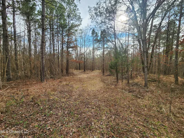 $230,000 | 0 Pearl Smith Road, Senatobia, MS 38668
