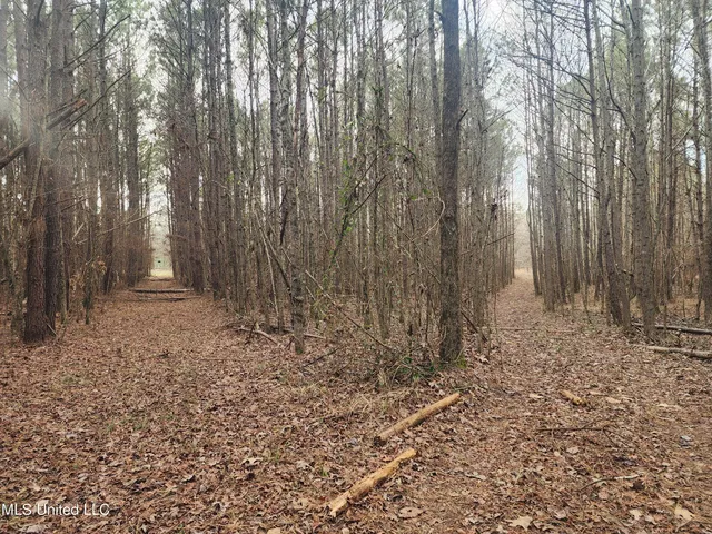 $230,000 | 0 Pearl Smith Road, Senatobia, MS 38668