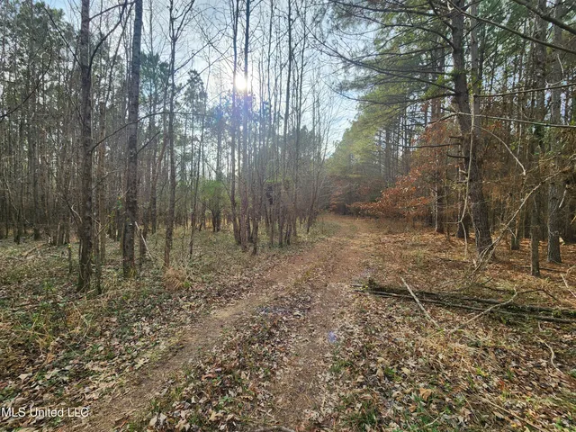 $230,000 | 0 Pearl Smith Road, Senatobia, MS 38668