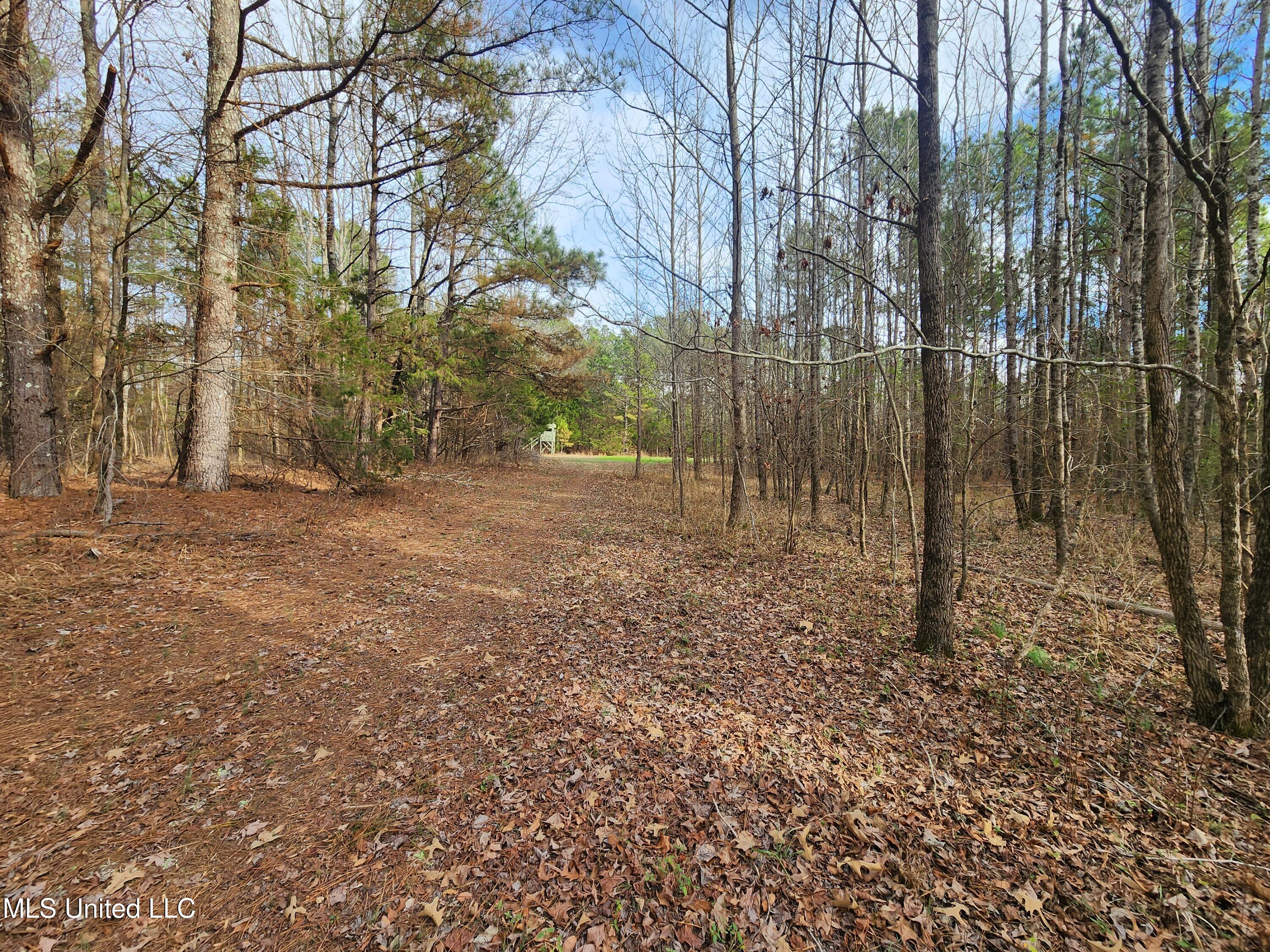 0 Pearl Smith Road Senatobia, MS 38668 - Photo 39 of 90 20260107_140641