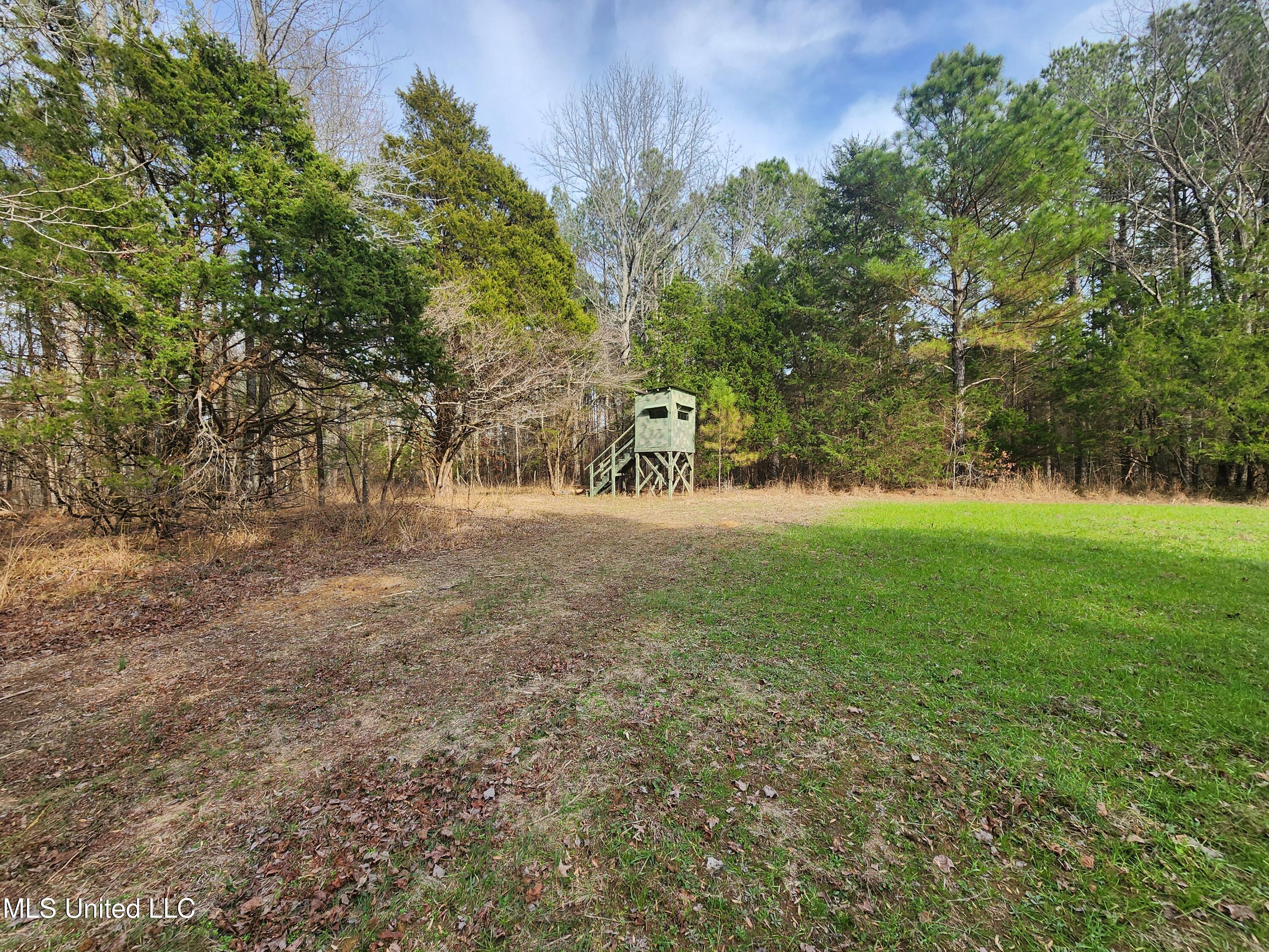 0 Pearl Smith Road Senatobia, MS 38668 - Photo 40 of 90 20260107_140746