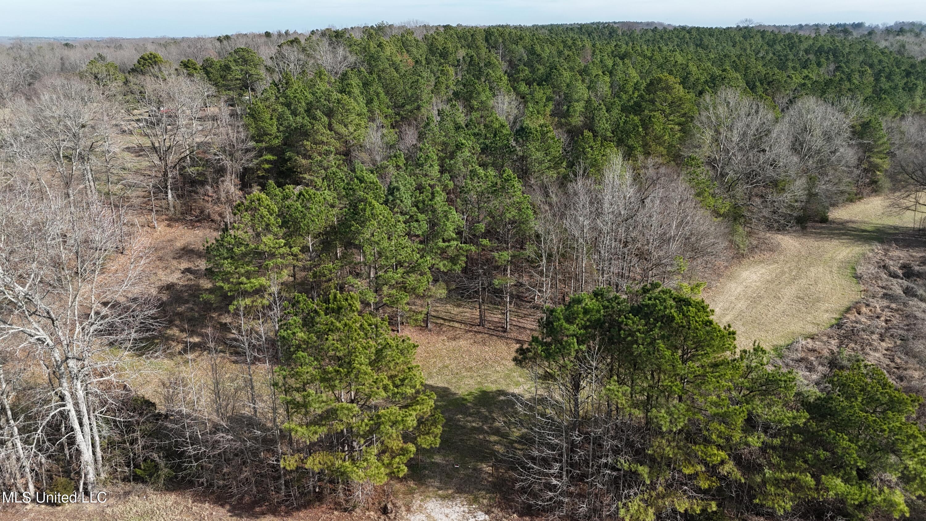 0 Pearl Smith Road Senatobia, MS 38668 - Photo 4 of 90 DJI_20260107133936_0752_D