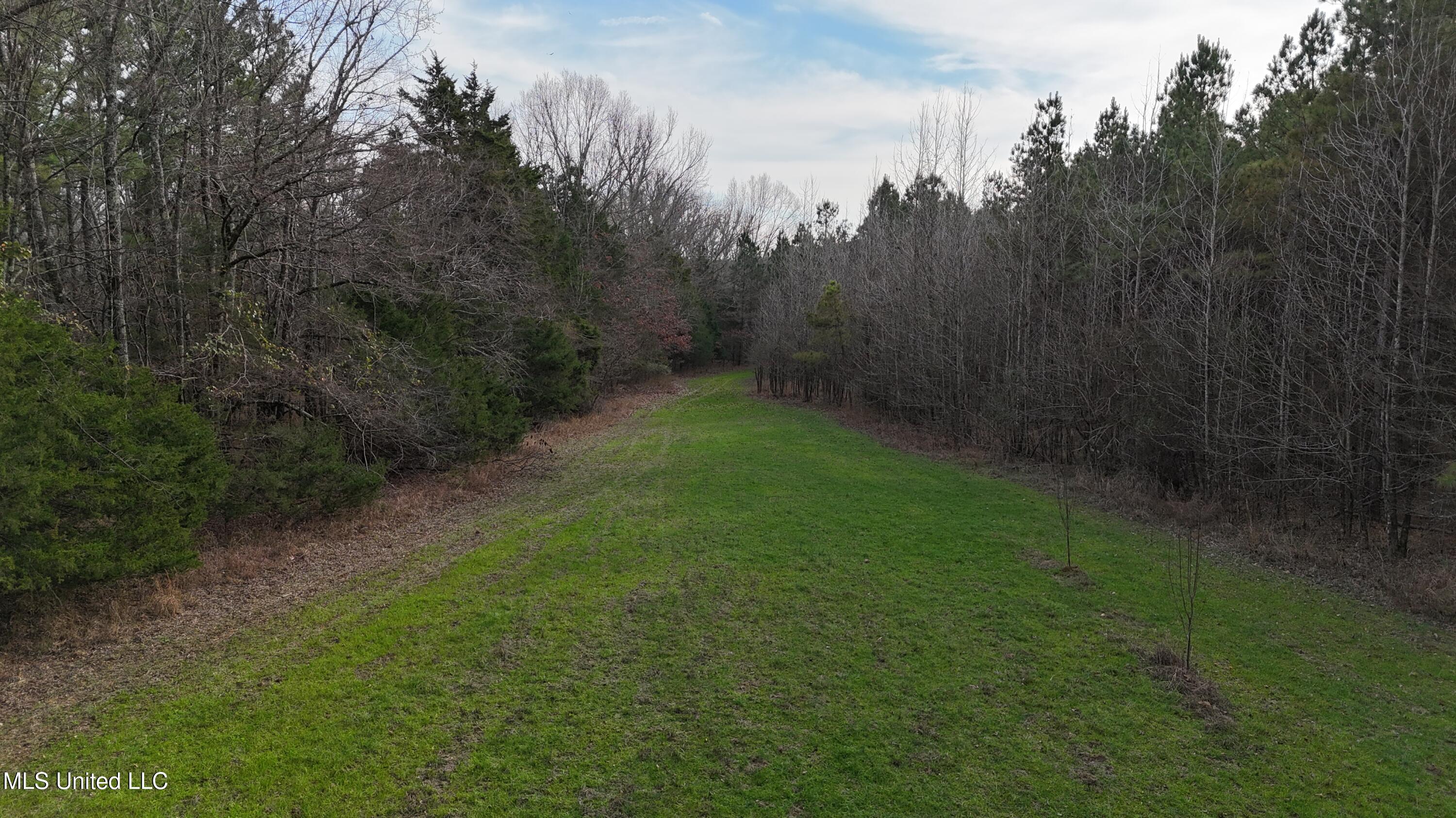 0 Pearl Smith Road Senatobia, MS 38668 - Photo 46 of 90 DJI_20260107151509_0758_D