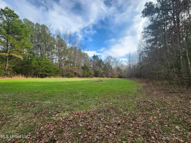 $230,000 | 0 Pearl Smith Road, Senatobia, MS 38668