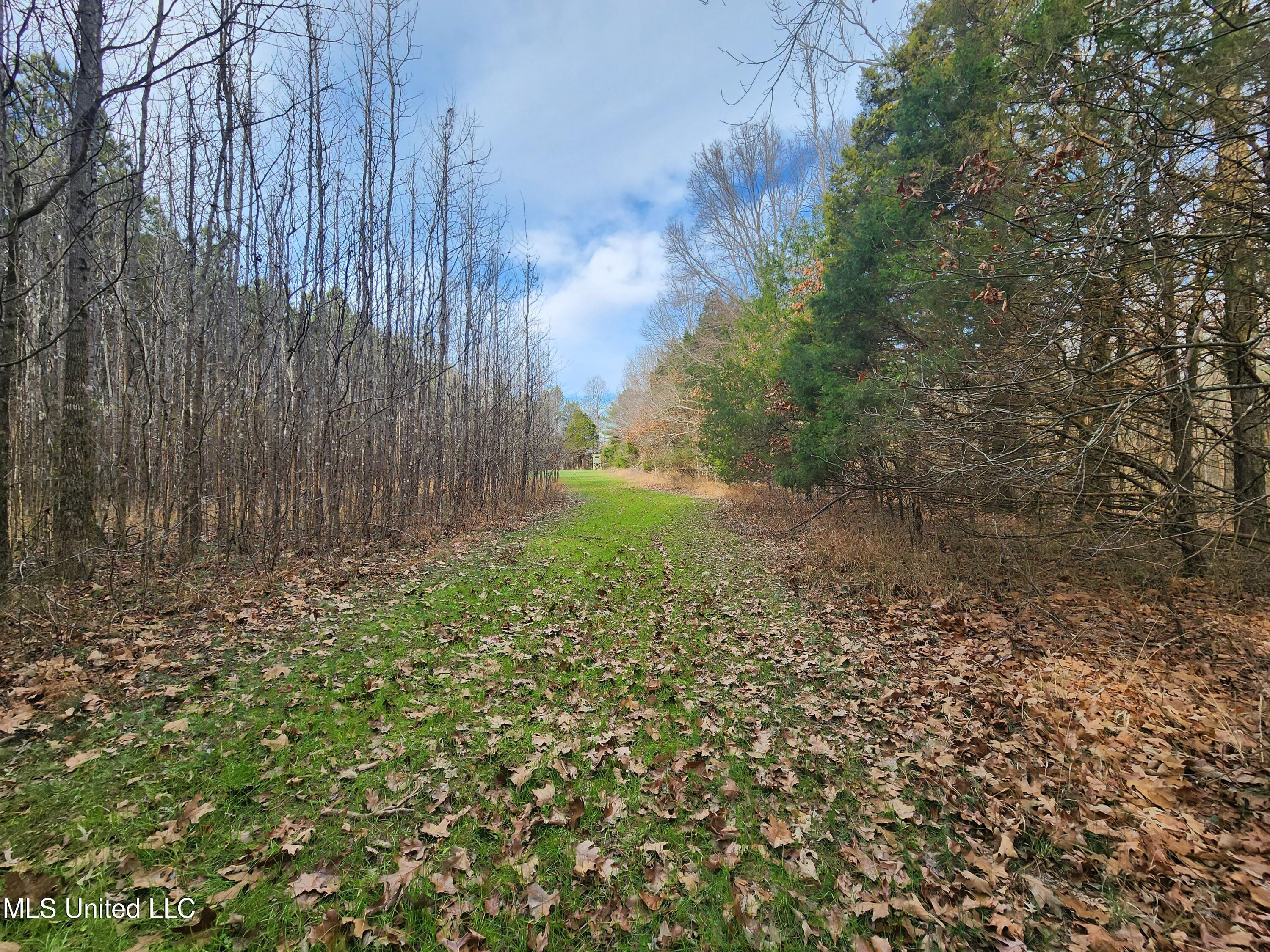 0 Pearl Smith Road Senatobia, MS 38668 - Photo 51 of 90 20260107_141607