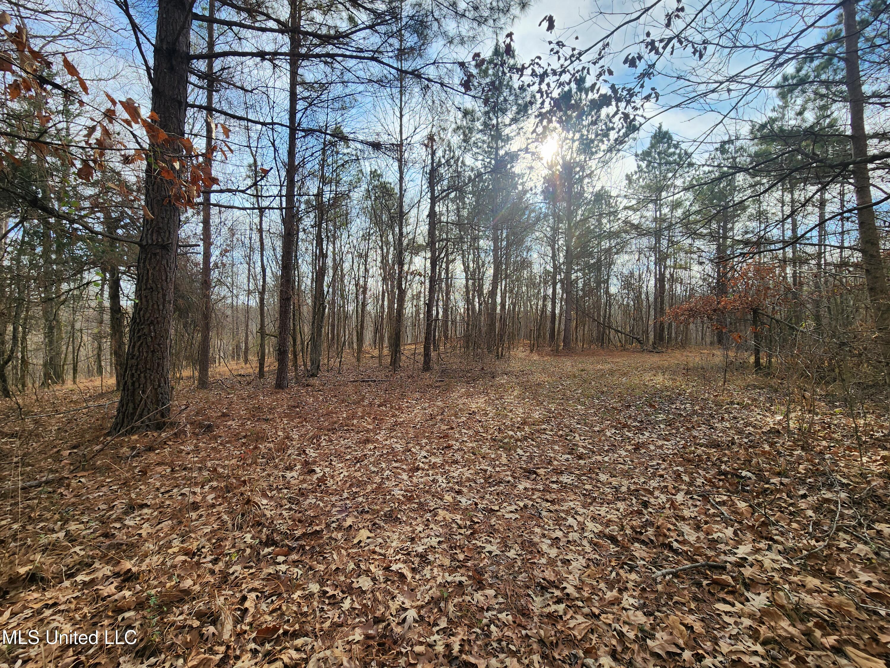 0 Pearl Smith Road Senatobia, MS 38668 - Photo 52 of 90 20260107_141731