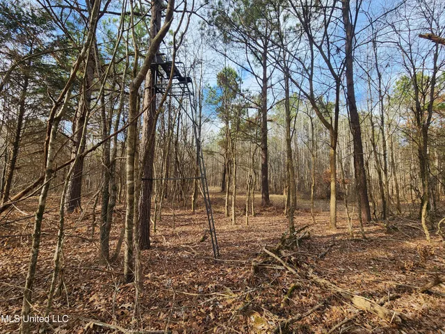 $230,000 | 0 Pearl Smith Road, Senatobia, MS 38668