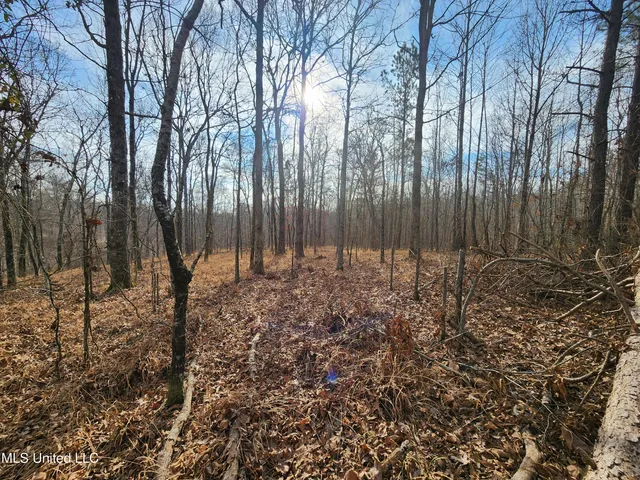 $230,000 | 0 Pearl Smith Road, Senatobia, MS 38668