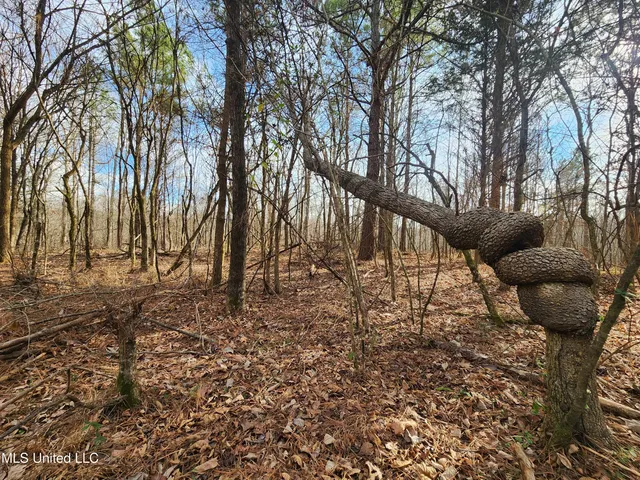 $230,000 | 0 Pearl Smith Road, Senatobia, MS 38668