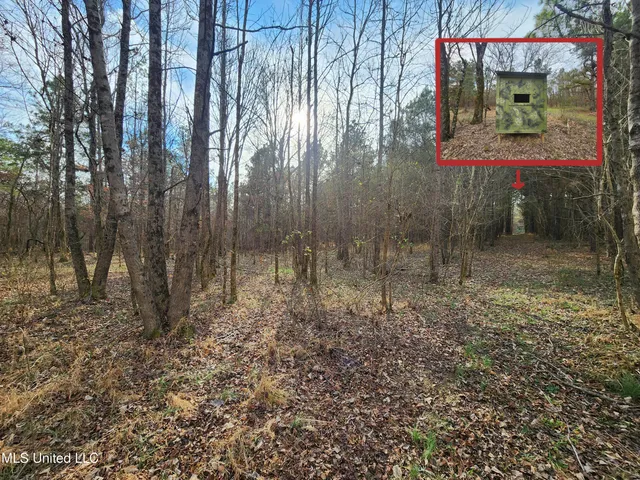 $230,000 | 0 Pearl Smith Road, Senatobia, MS 38668