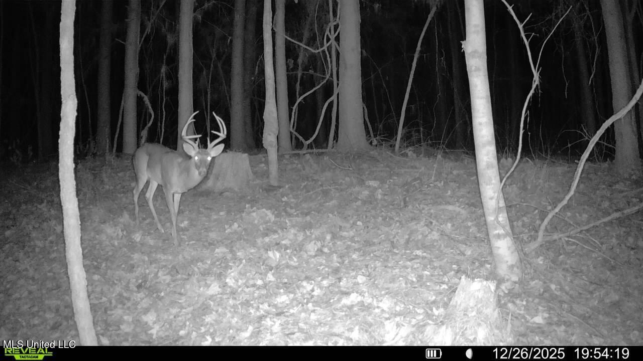 0 Pearl Smith Road Senatobia, MS 38668 - Photo 59 of 90 016578003253595-72-2-12262025195419-SYFW