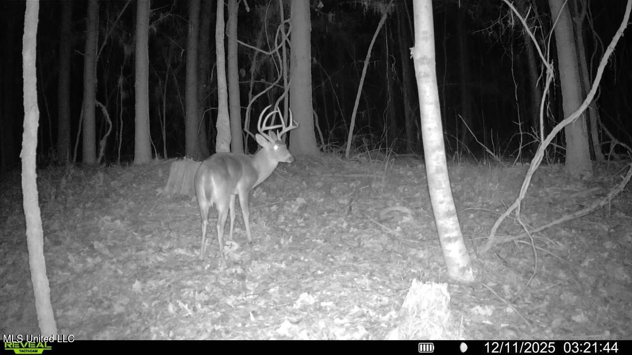 0 Pearl Smith Road Senatobia, MS 38668 - Photo 60 of 90 016578003253595-100-2-12112025032144-SYF