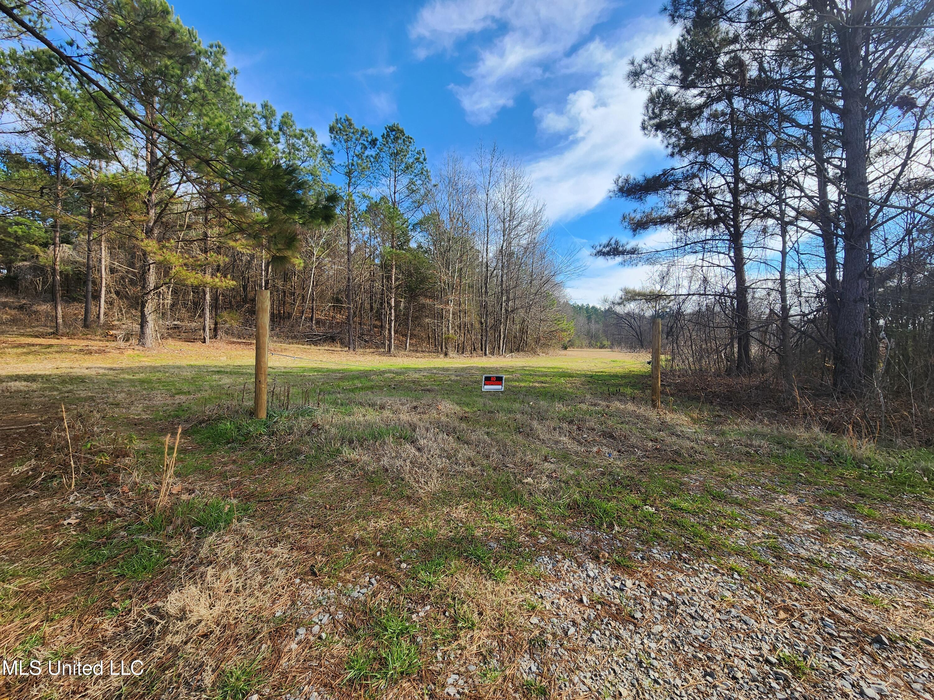 0 Pearl Smith Road Senatobia, MS 38668 - Photo 6 of 90 20260107_123744