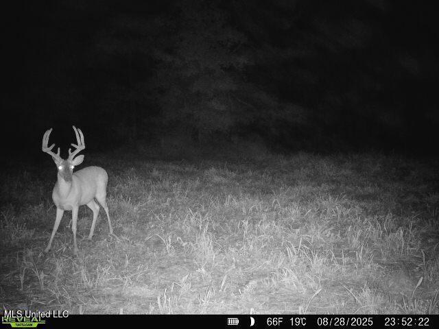 0 Pearl Smith Road Senatobia, MS 38668 - Photo 63 of 90 869965061335810-90-4-08282025235222-W101