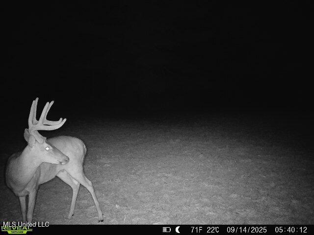 0 Pearl Smith Road Senatobia, MS 38668 - Photo 65 of 90 869965061335810-30-4-09142025054012-W102