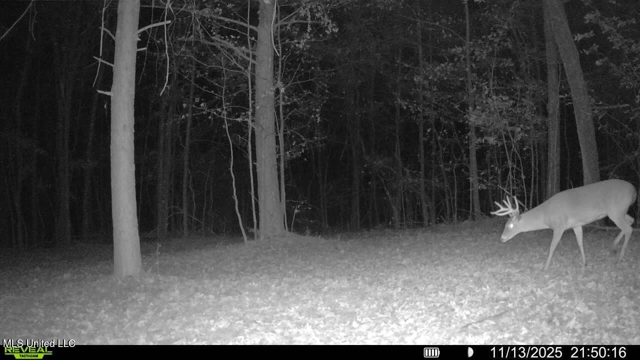 0 Pearl Smith Road Senatobia, MS 38668 - Photo 66 of 90 016578003253595-100-3-11132025215016-SYF