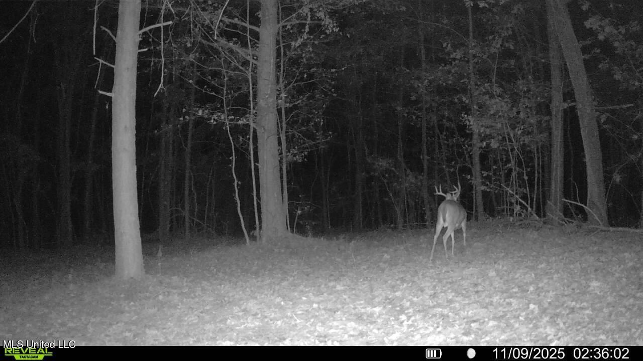 0 Pearl Smith Road Senatobia, MS 38668 - Photo 67 of 90 016578003253595-72-3-11092025023602-SYFW