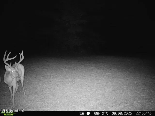 $230,000 | 0 Pearl Smith Road, Senatobia, MS 38668