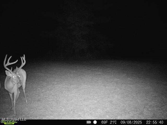 0 Pearl Smith Road Senatobia, MS 38668 - Photo 68 of 90 869965061335810-90-3-09082025225540-W102