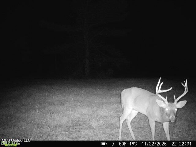 0 Pearl Smith Road Senatobia, MS 38668 - Photo 69 of 90 869965061335810-40-3-11222025222230-W103