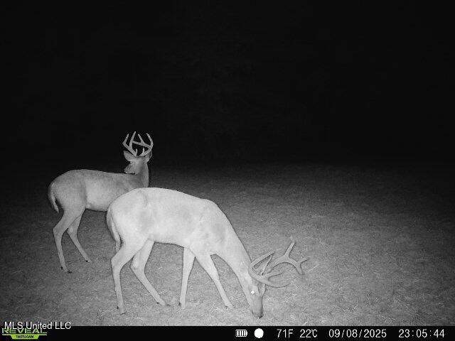 0 Pearl Smith Road Senatobia, MS 38668 - Photo 70 of 90 869965061335810-90-4-09082025230544-W102