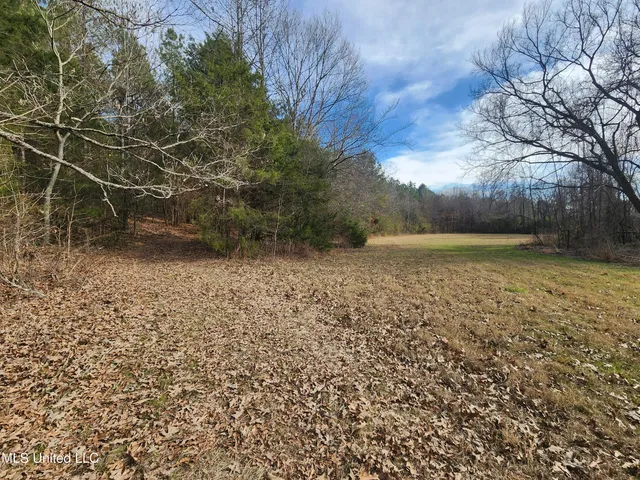 $230,000 | 0 Pearl Smith Road, Senatobia, MS 38668