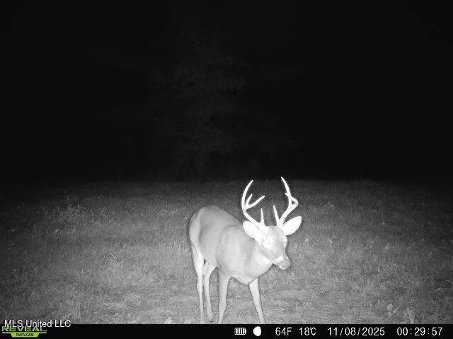 $230,000 | 0 Pearl Smith Road, Senatobia, MS 38668