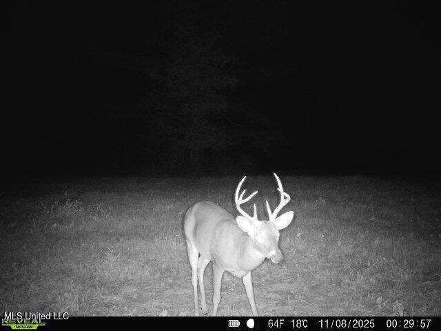 0 Pearl Smith Road Senatobia, MS 38668 - Photo 71 of 90 869965061335810-90-3-11082025002956-W103