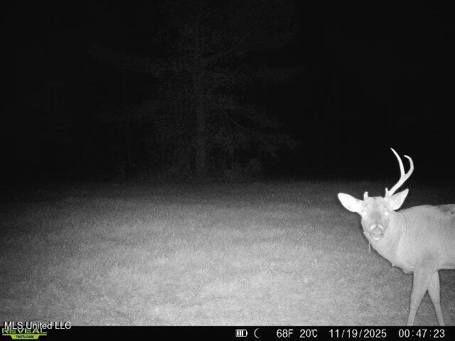 0 Pearl Smith Road Senatobia, MS 38668 - Photo 72 of 90 869965061335810-50-3-11192025004722-W103